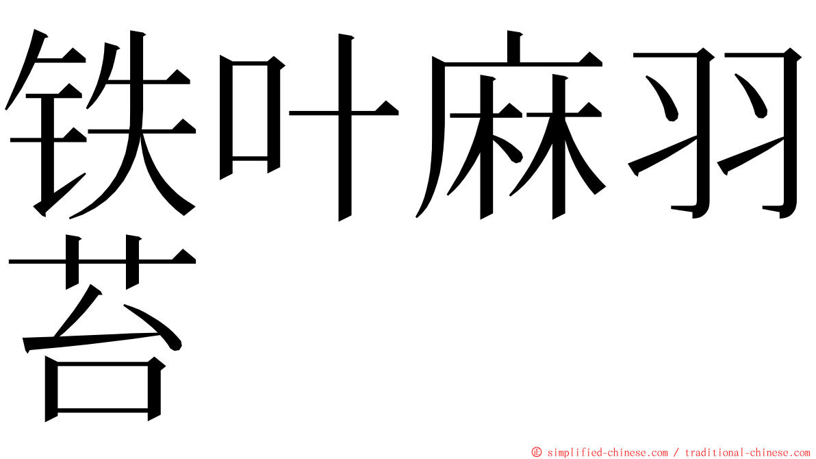 铁叶麻羽苔 ming font