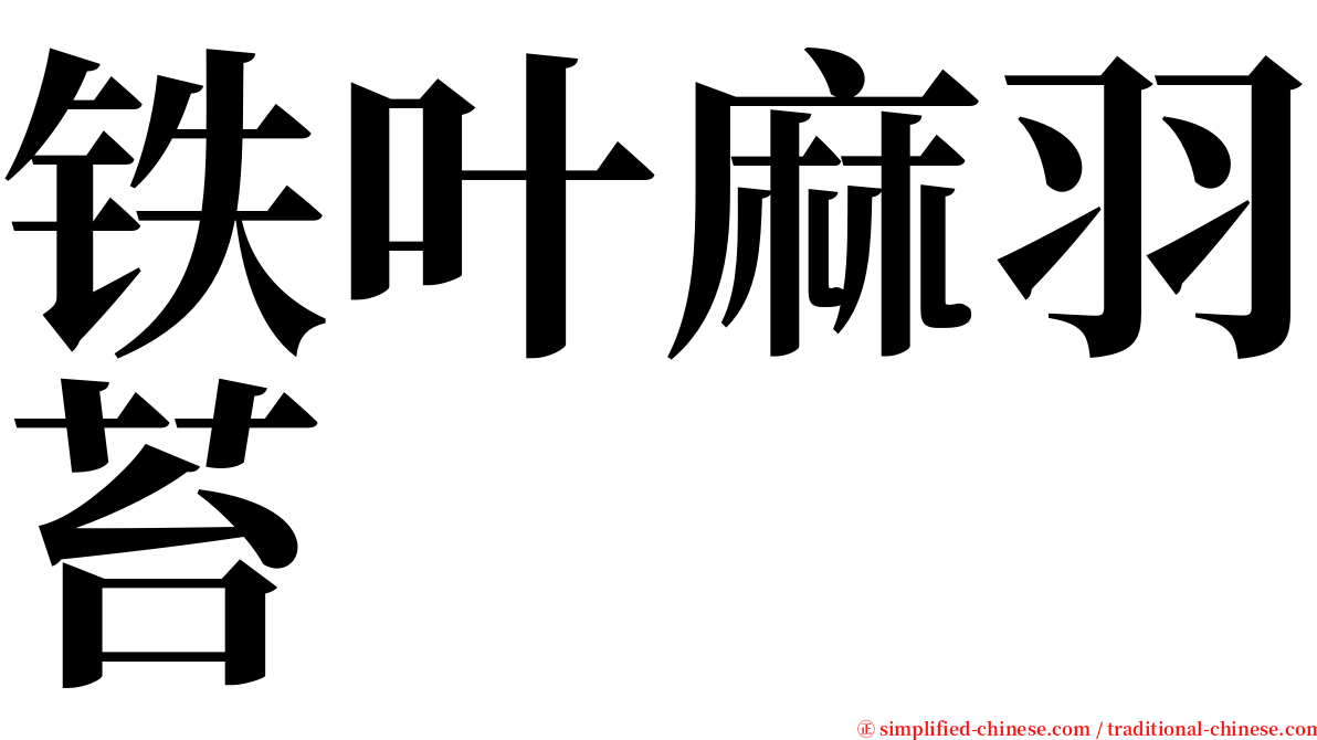 铁叶麻羽苔 serif font