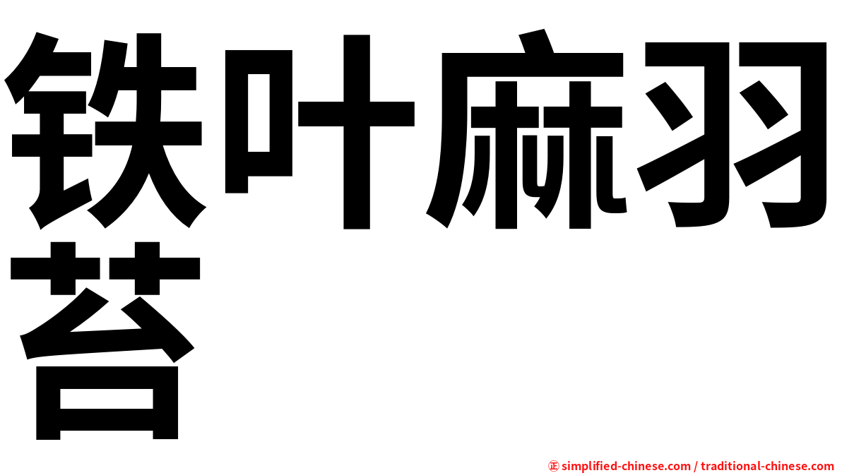 铁叶麻羽苔