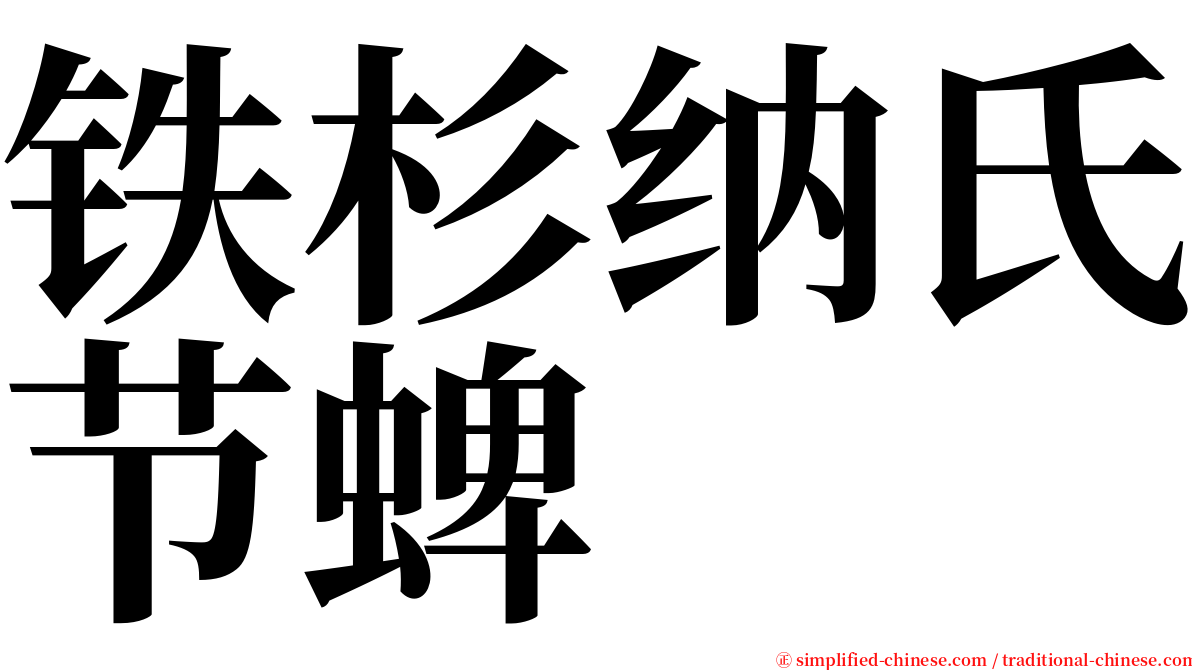 铁杉纳氏节蜱 serif font
