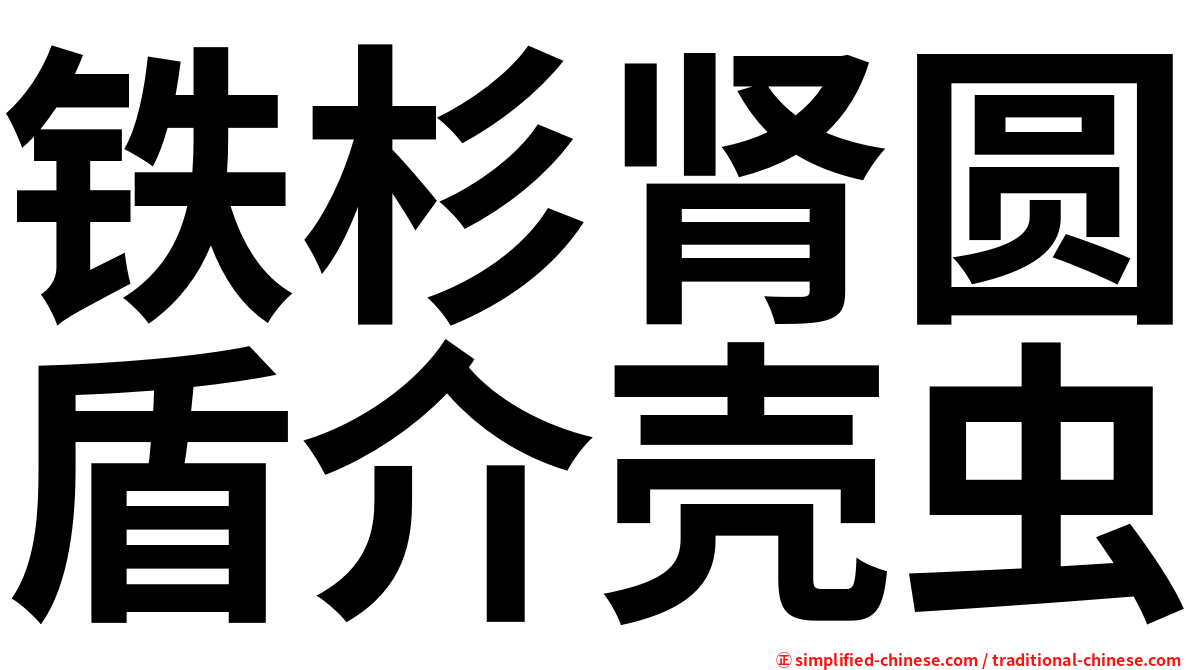 铁杉肾圆盾介壳虫
