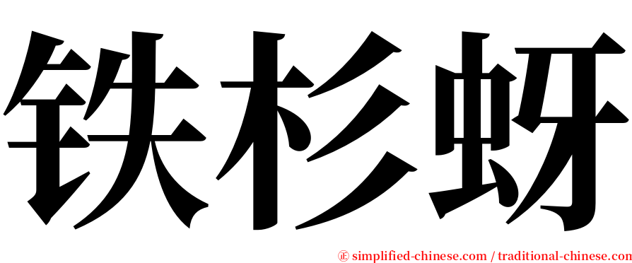 铁杉蚜 serif font