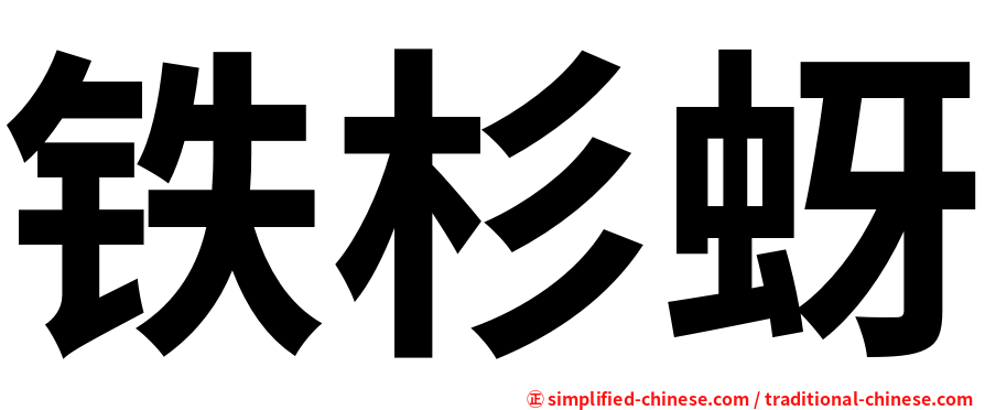 铁杉蚜