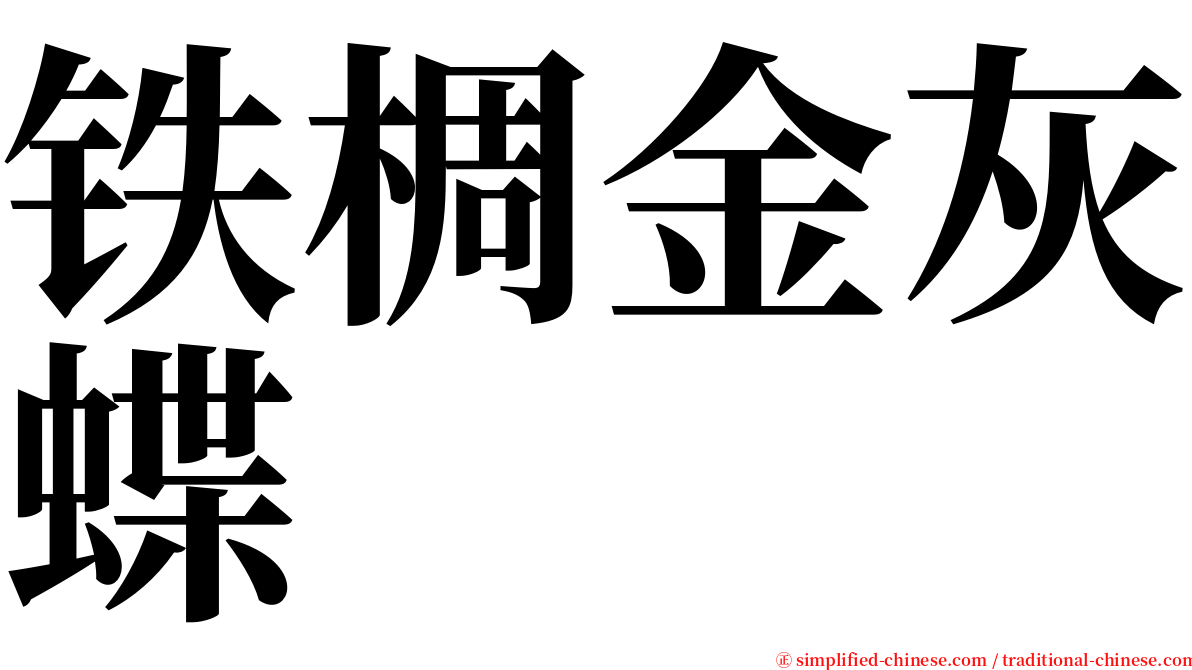 铁椆金灰蝶 serif font