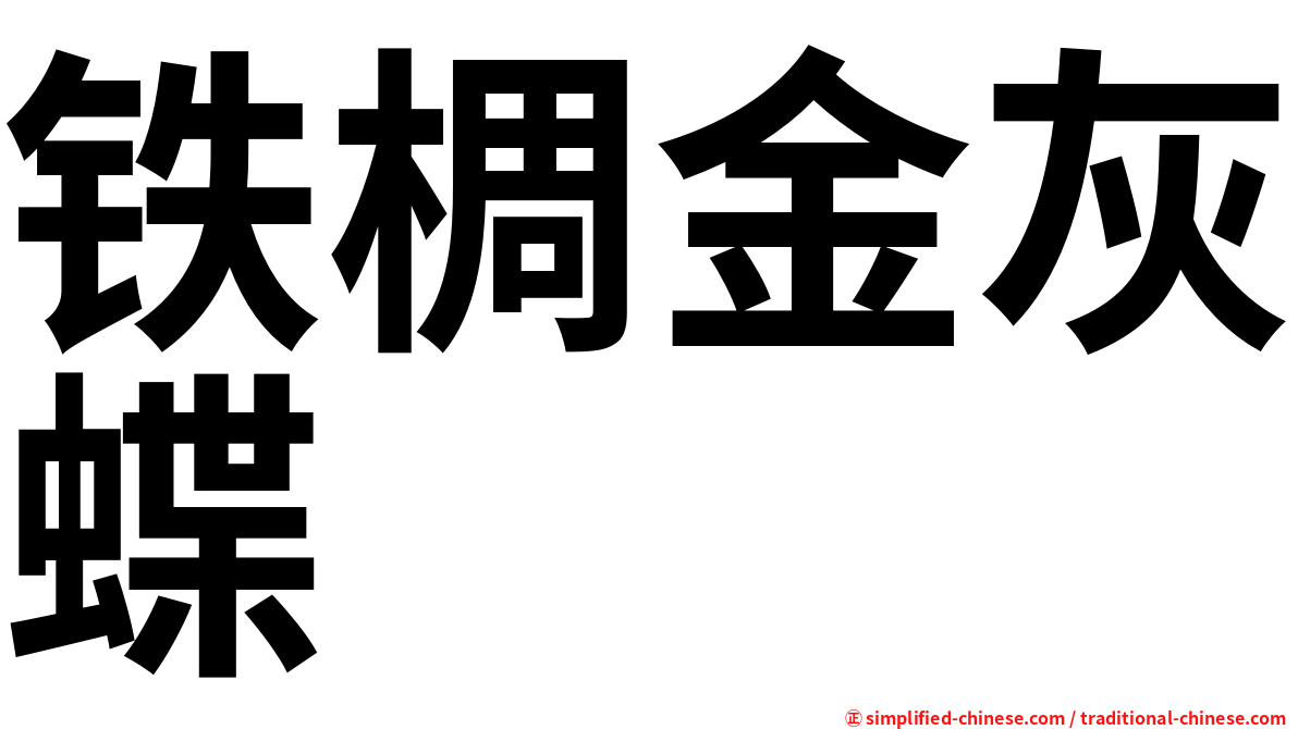 铁椆金灰蝶