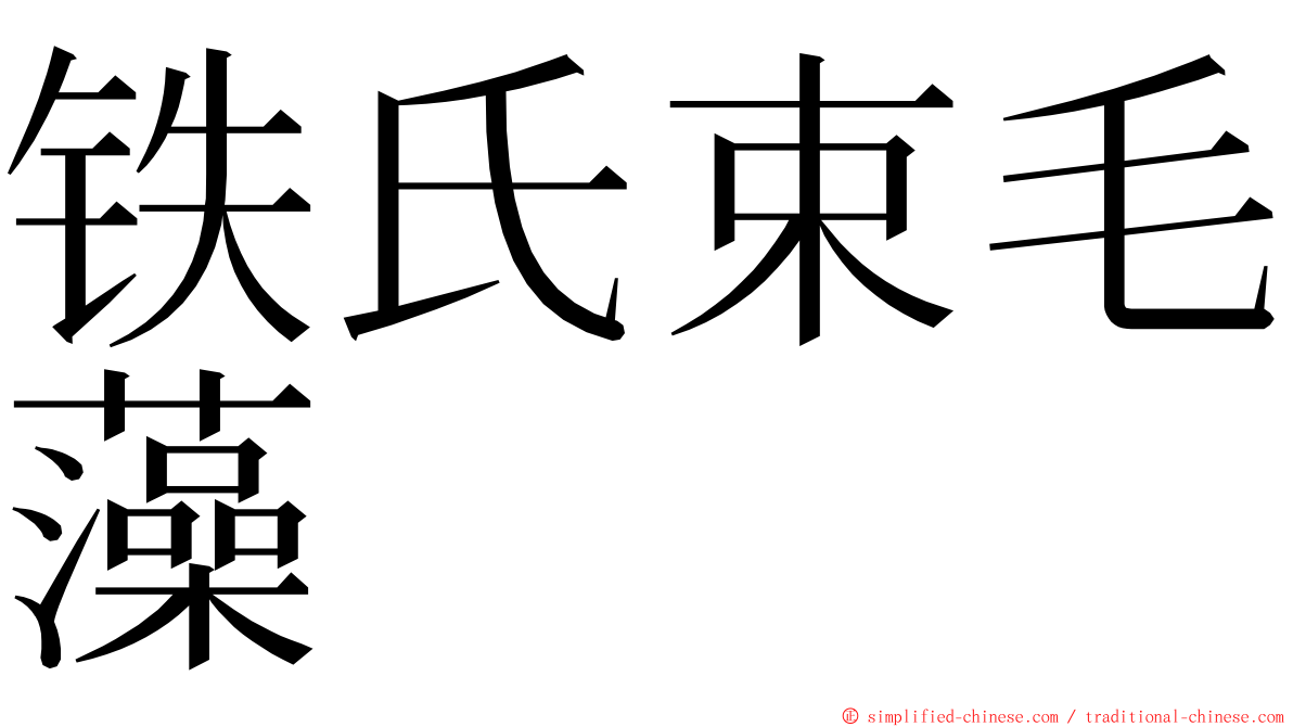 铁氏束毛藻 ming font