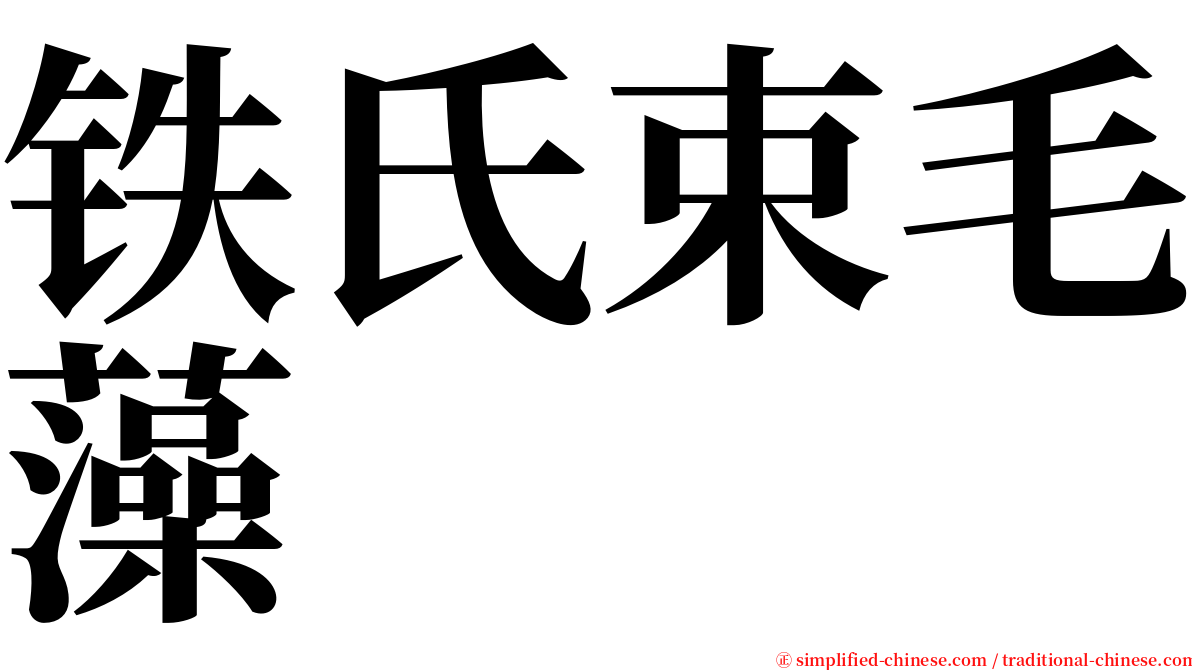 铁氏束毛藻 serif font