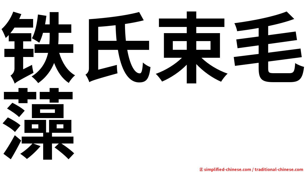 铁氏束毛藻