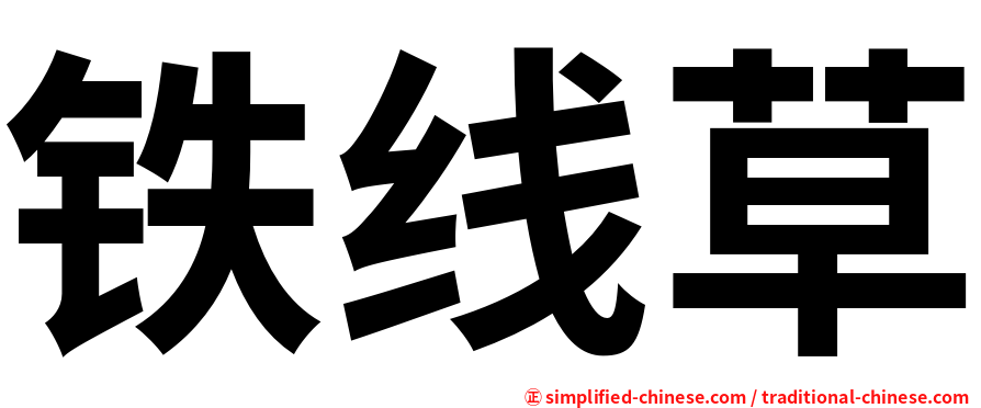 铁线草