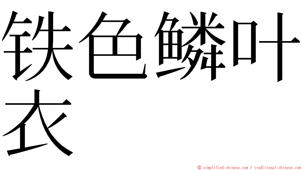 铁色鳞叶衣 ming font