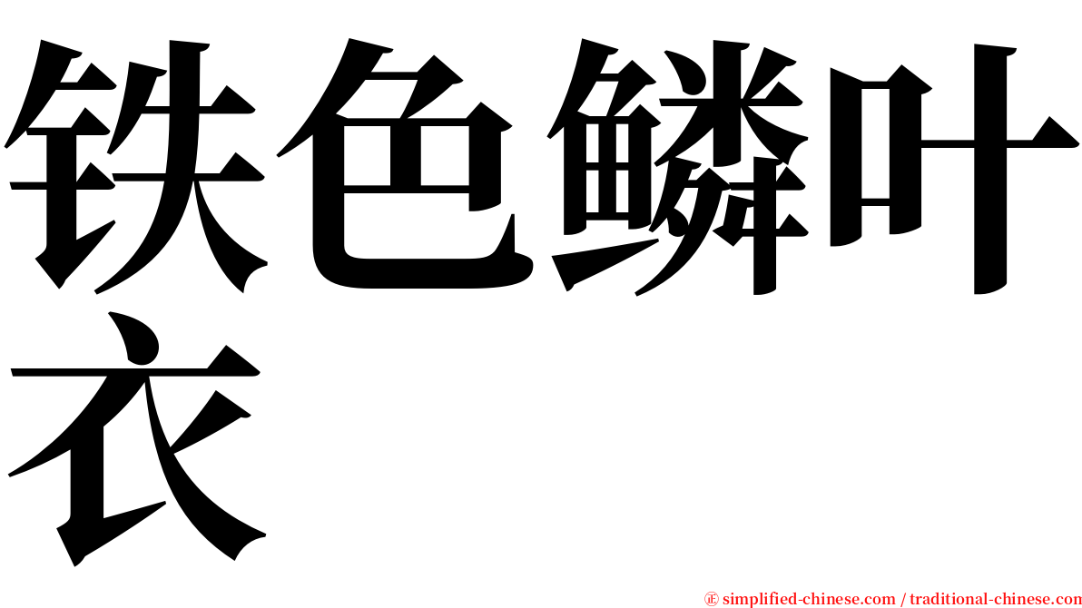 铁色鳞叶衣 serif font