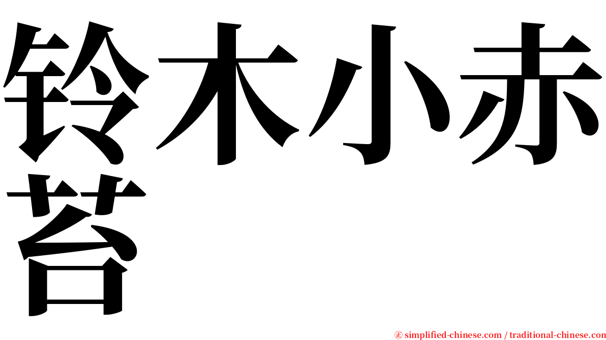 铃木小赤苔 serif font