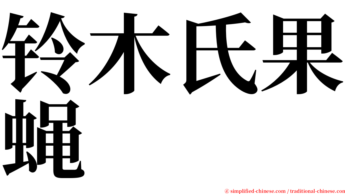 铃木氏果蝇 serif font