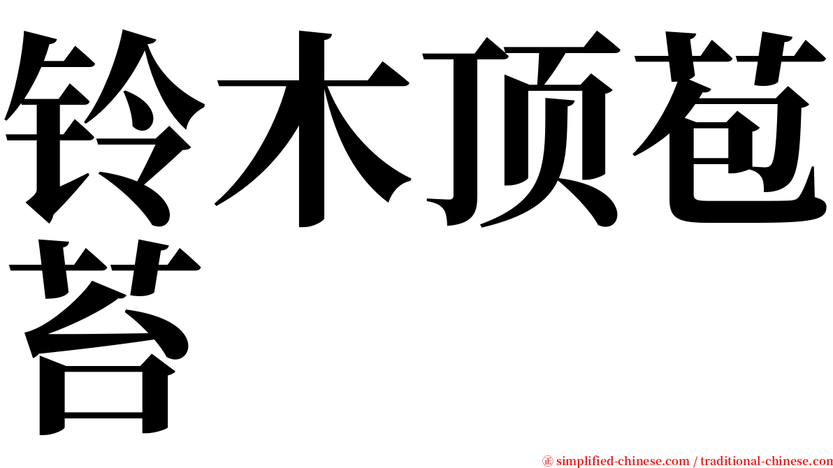 铃木顶苞苔 serif font