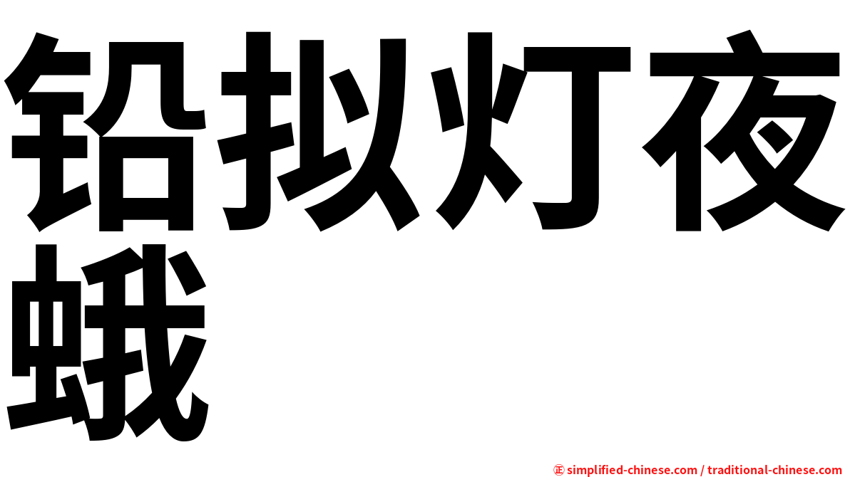 铅拟灯夜蛾
