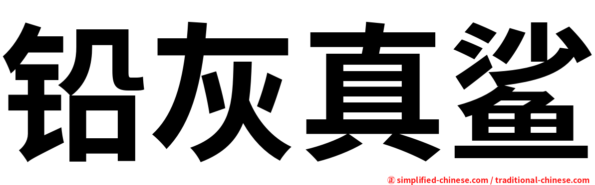 铅灰真鲨