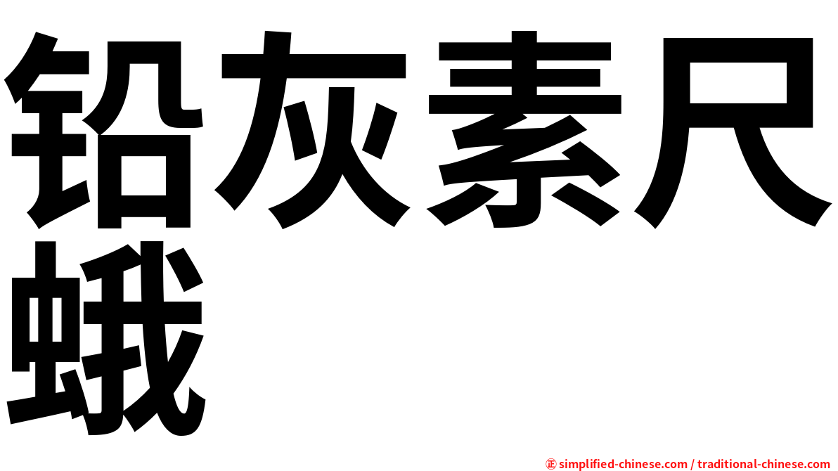 铅灰素尺蛾