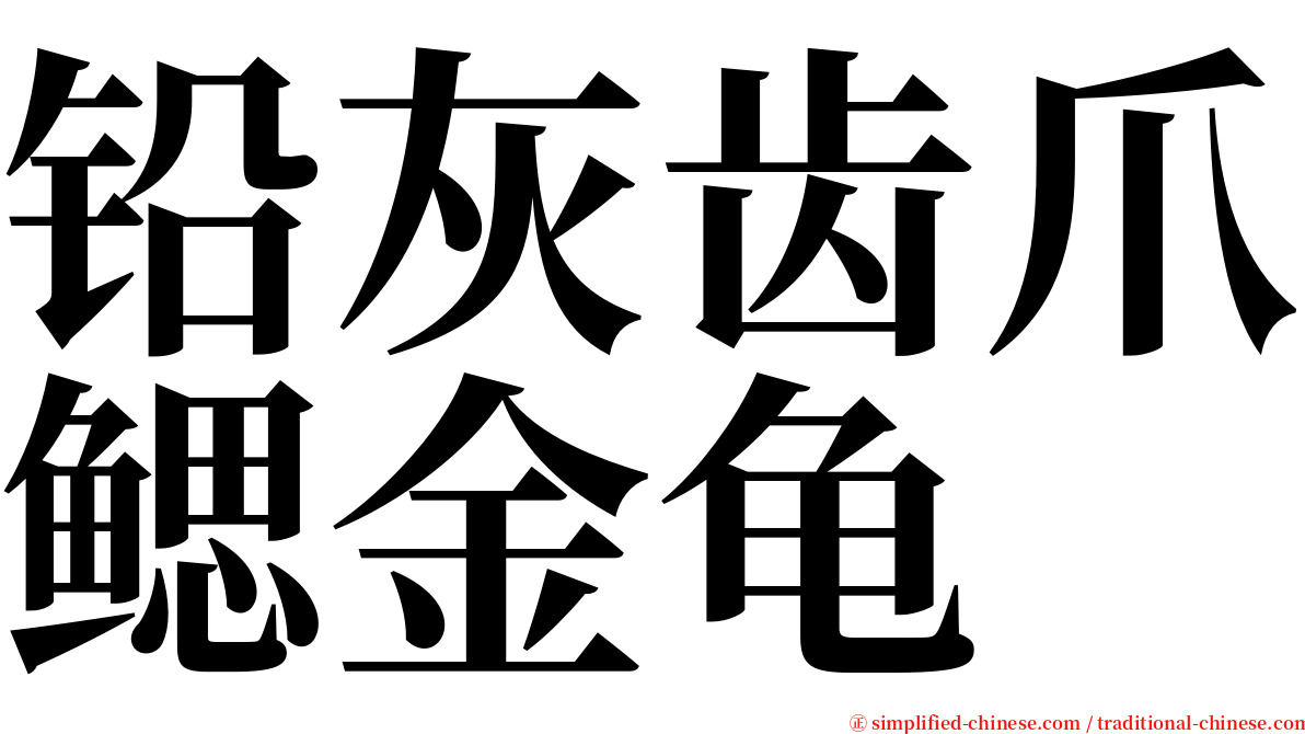 铅灰齿爪鳃金龟 serif font