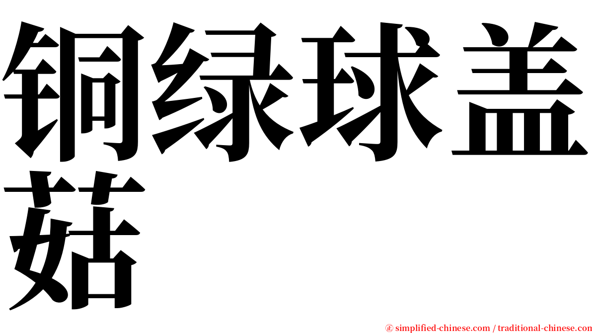 铜绿球盖菇 serif font