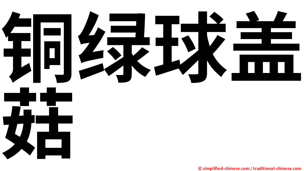 铜绿球盖菇
