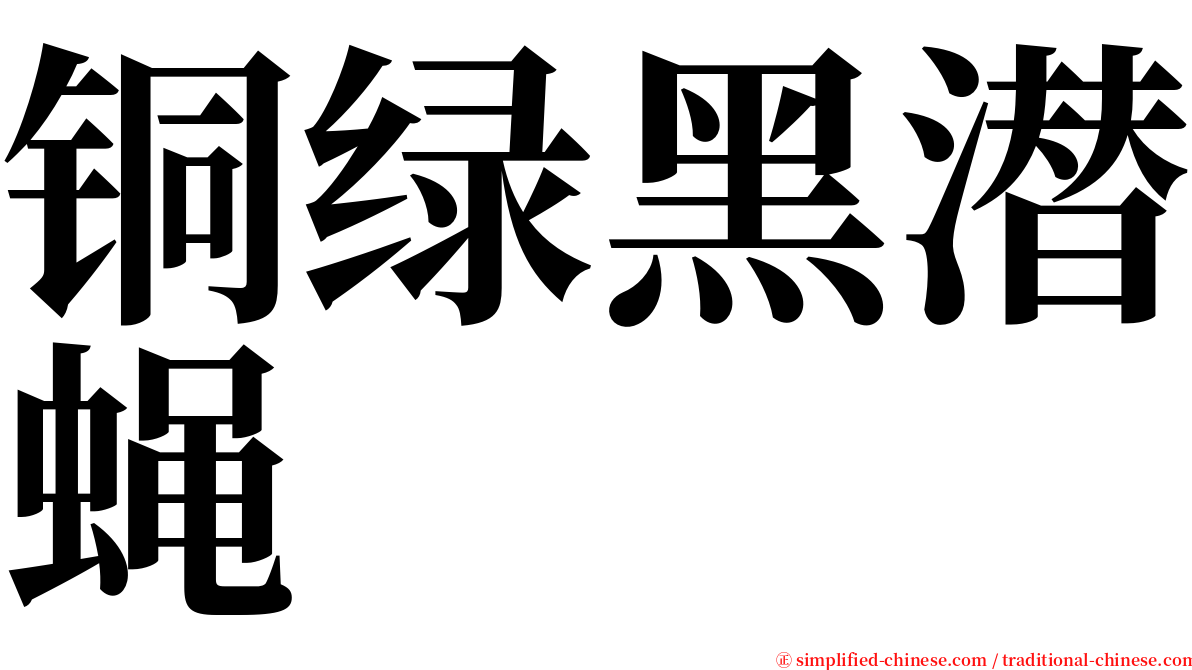 铜绿黑潜蝇 serif font