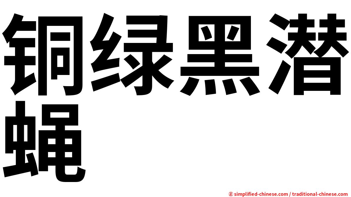 铜绿黑潜蝇