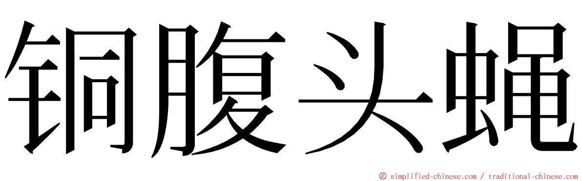 铜腹头蝇 ming font