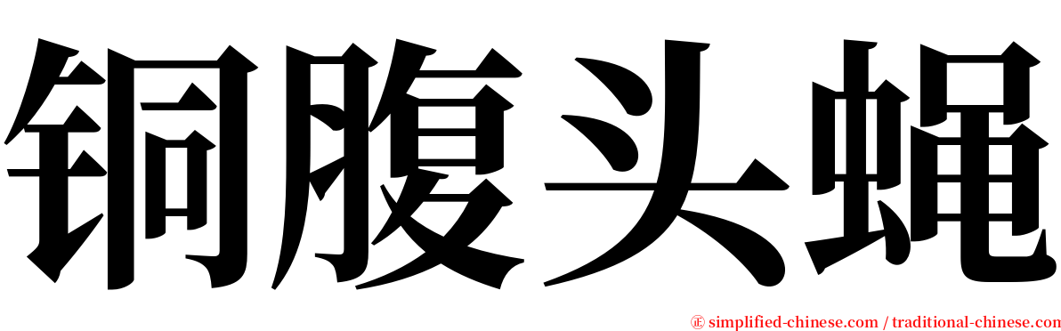 铜腹头蝇 serif font