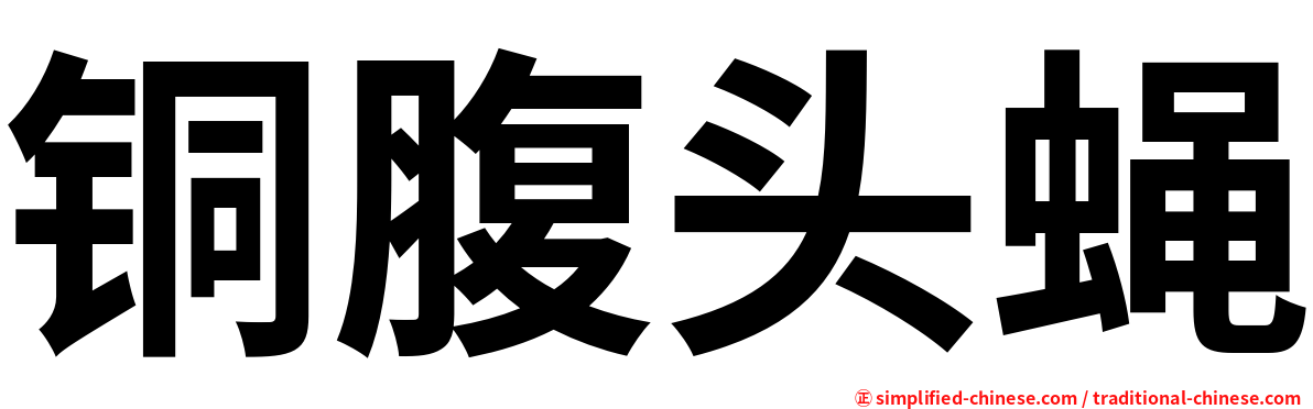 铜腹头蝇