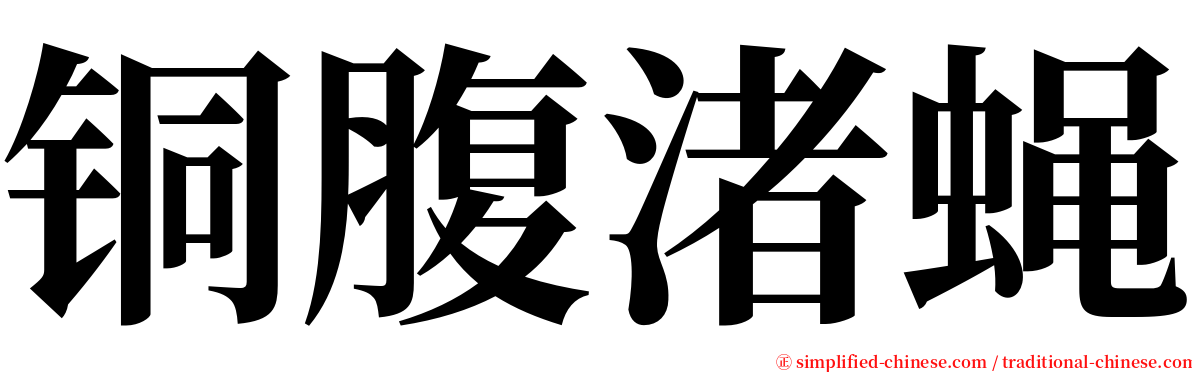 铜腹渚蝇 serif font