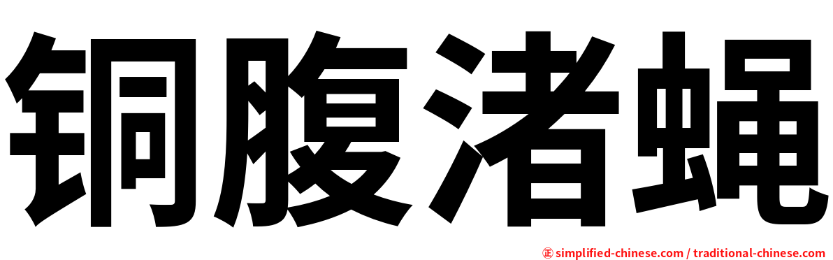 铜腹渚蝇