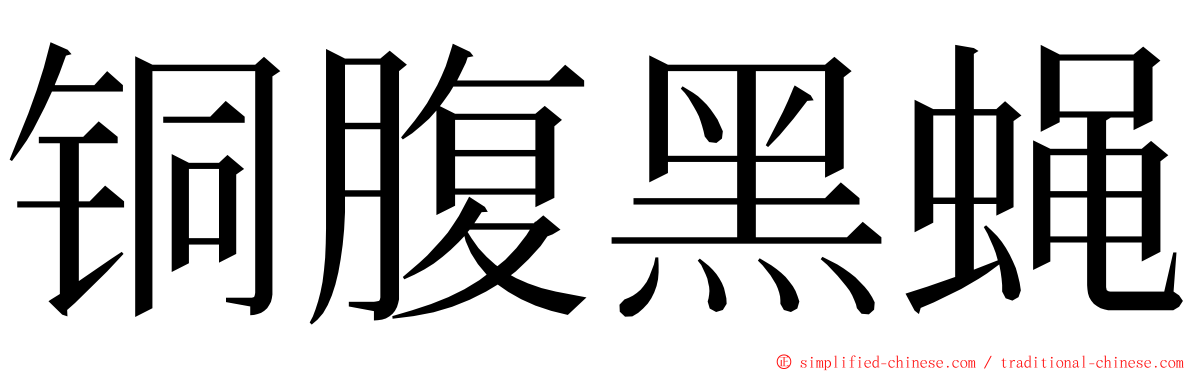 铜腹黑蝇 ming font