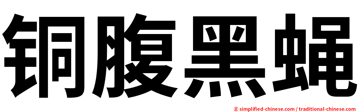 铜腹黑蝇
