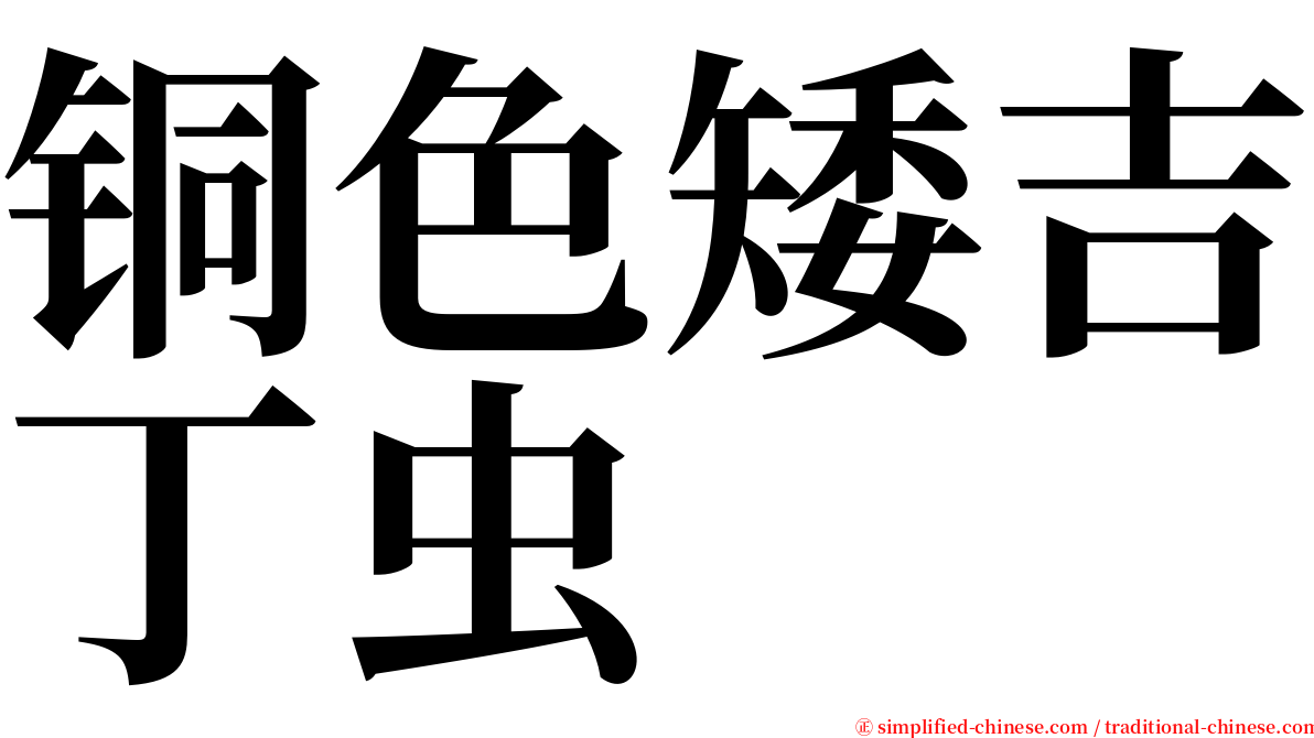 铜色矮吉丁虫 serif font