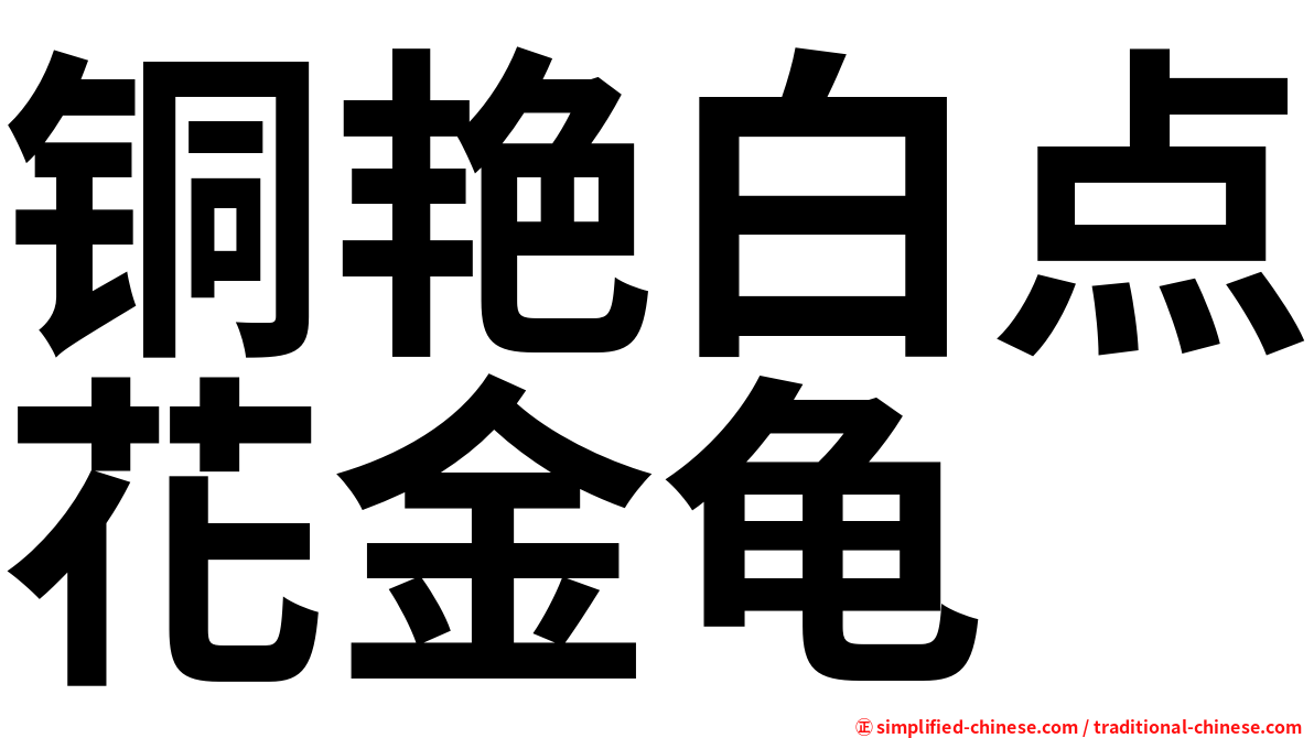 铜艳白点花金龟