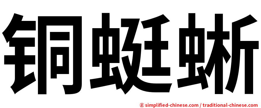 铜蜓蜥
