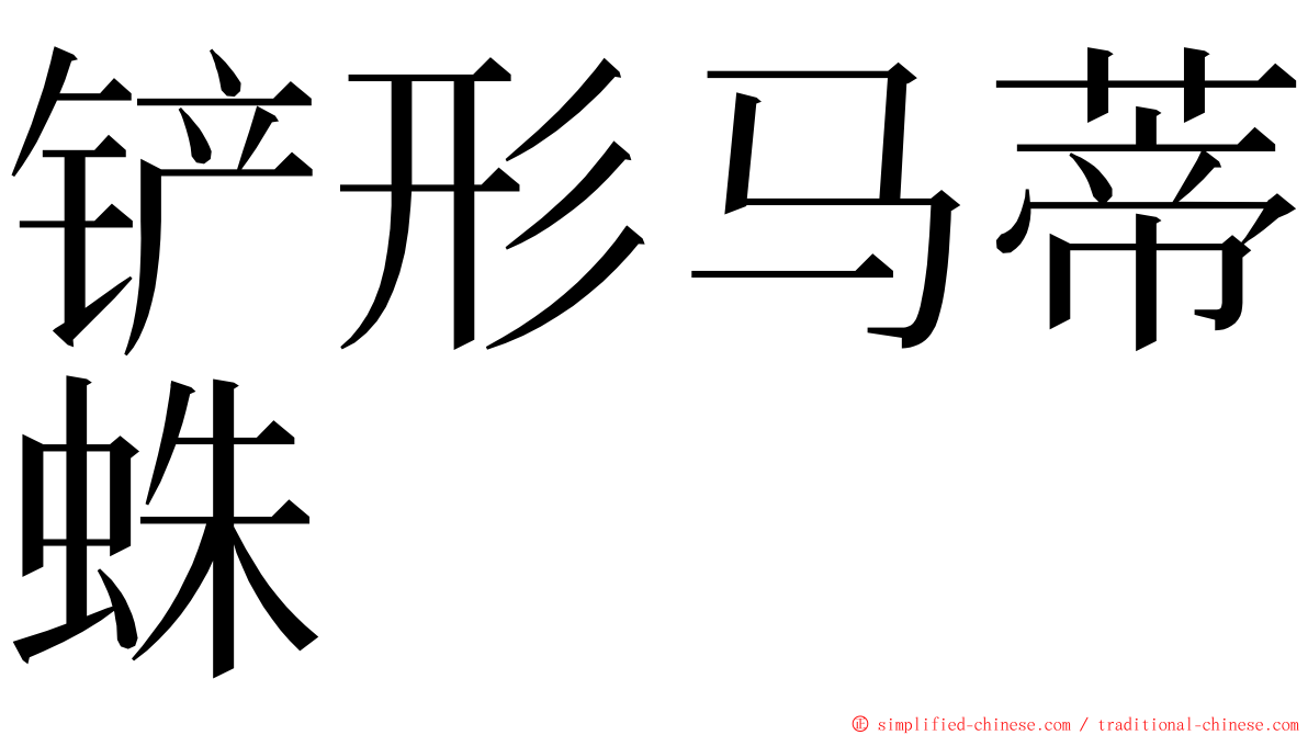 铲形马蒂蛛 ming font