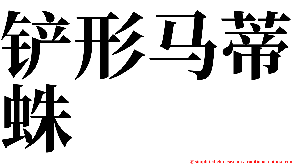 铲形马蒂蛛 serif font