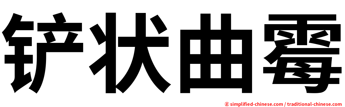 铲状曲霉