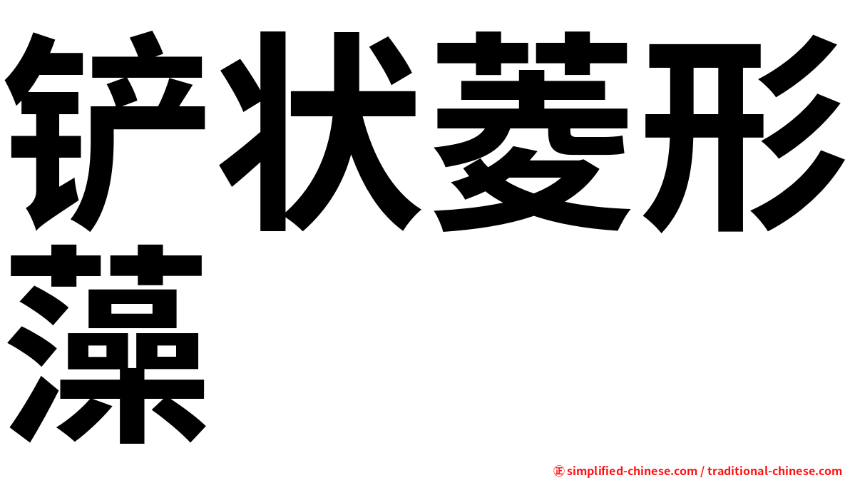 铲状菱形藻