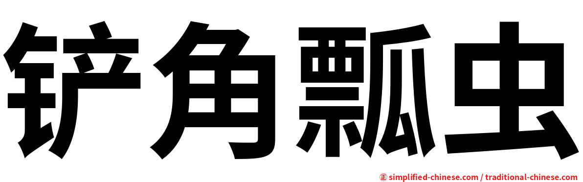 铲角瓢虫