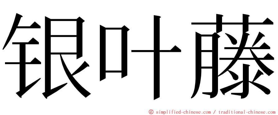 银叶藤 ming font