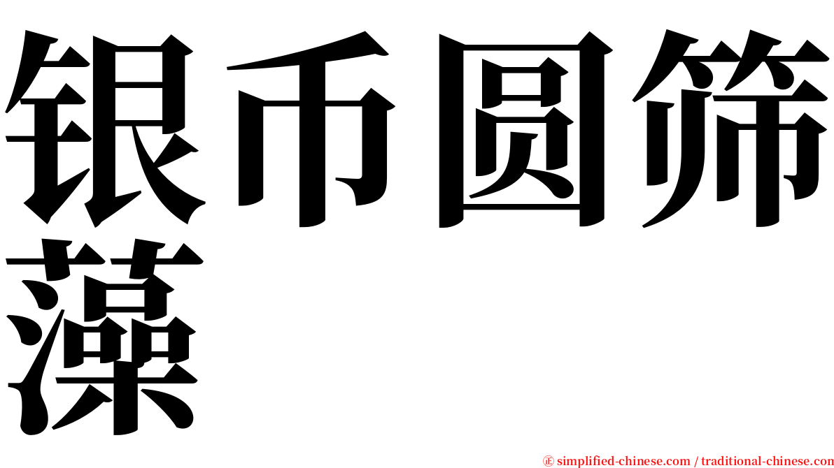 银币圆筛藻 serif font