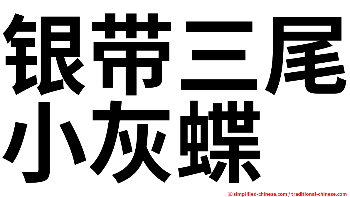 银带三尾小灰蝶