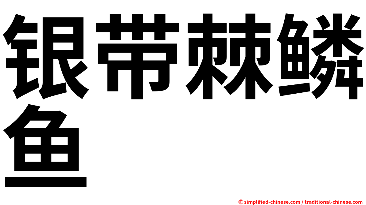 银带棘鳞鱼