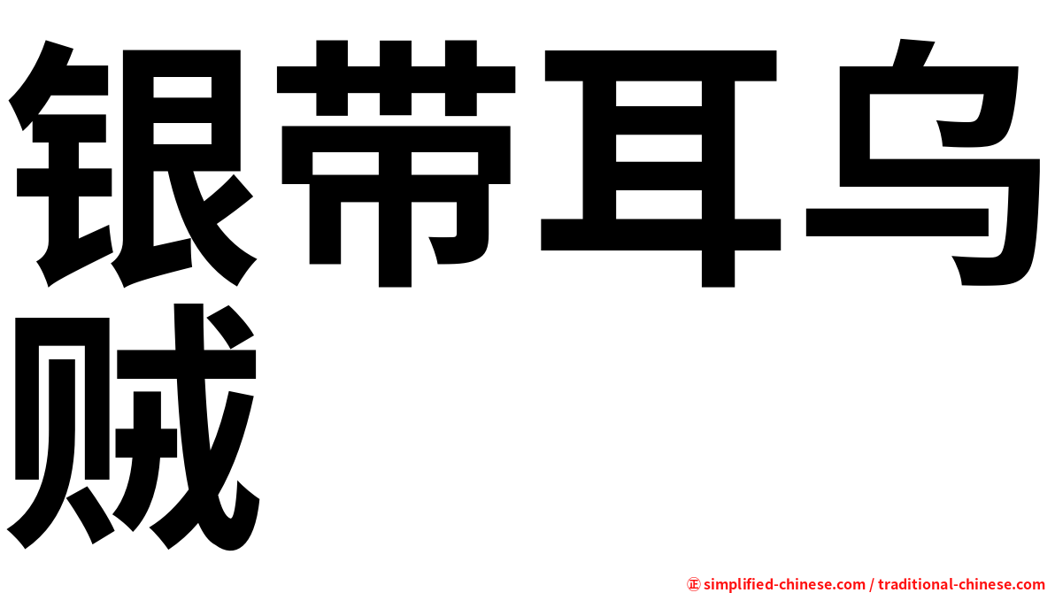 银带耳乌贼