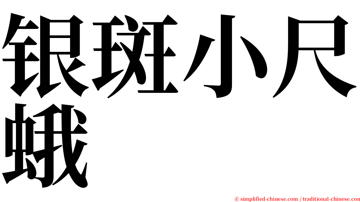 银斑小尺蛾 serif font