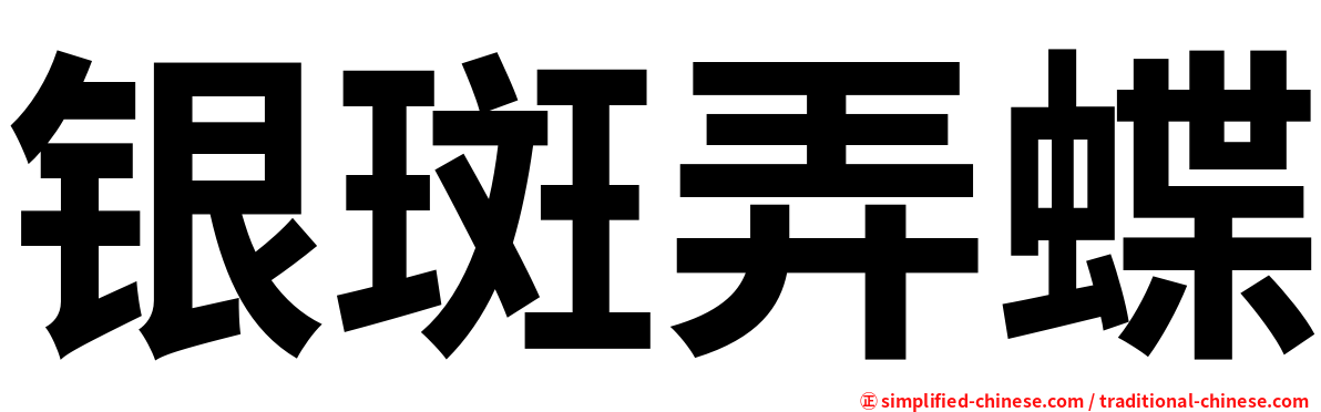 银斑弄蝶