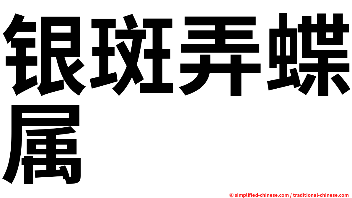 银斑弄蝶属