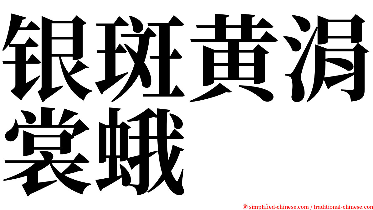 银斑黄涓裳蛾 serif font